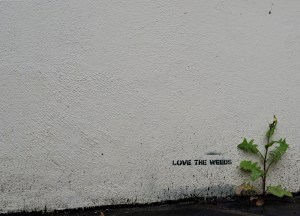 Save them, don't kill them.